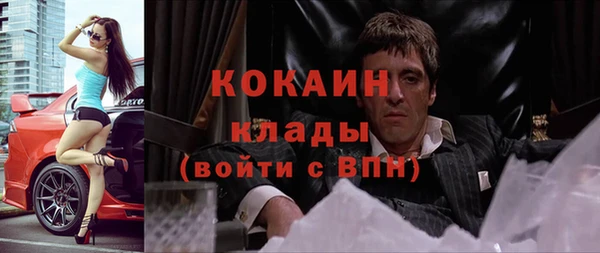 молекула духа Вяземский