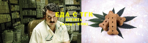 мдпв Горнозаводск