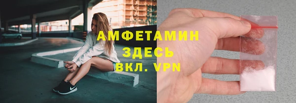 молекула духа Вяземский