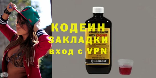 молекула духа Вяземский