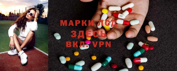 молекула духа Вяземский