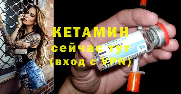 молекула духа Вяземский