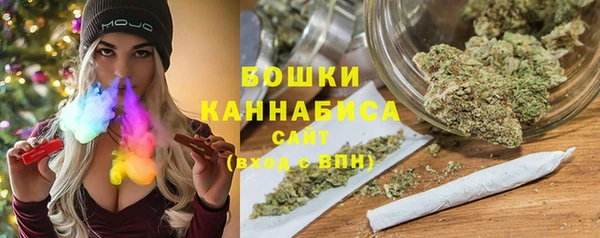 молекула духа Вяземский