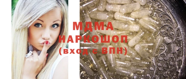 молекула духа Вяземский