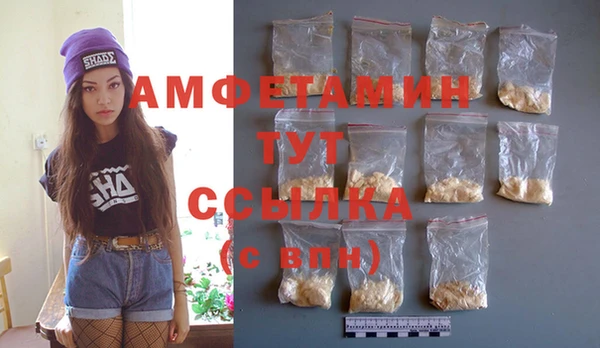 молекула духа Вяземский
