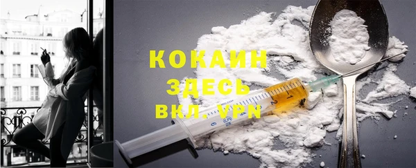 молекула духа Вяземский